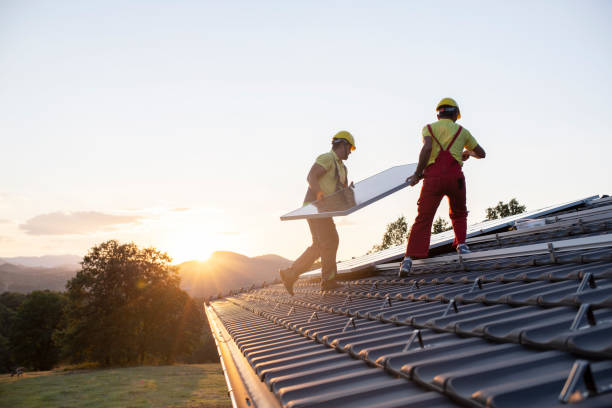 Best Roof Leak Repair  in Reese, MI