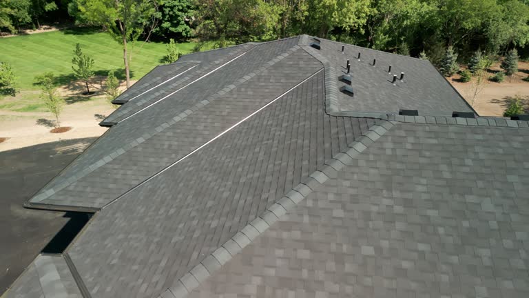 Best Roof Coating and Sealing  in Reese, MI