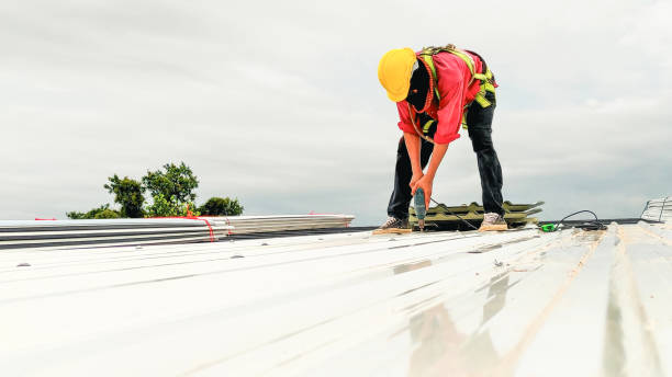 Best Roof Maintenance and Cleaning  in Reese, MI