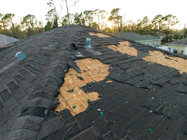 Best Hot Roofs  in Reese, MI