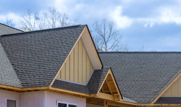 Best Roof Insulation Installation  in Reese, MI