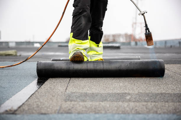 Best Roof Insulation Installation  in Reese, MI