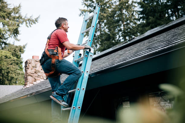  Reese, MI Roofing Service Pros